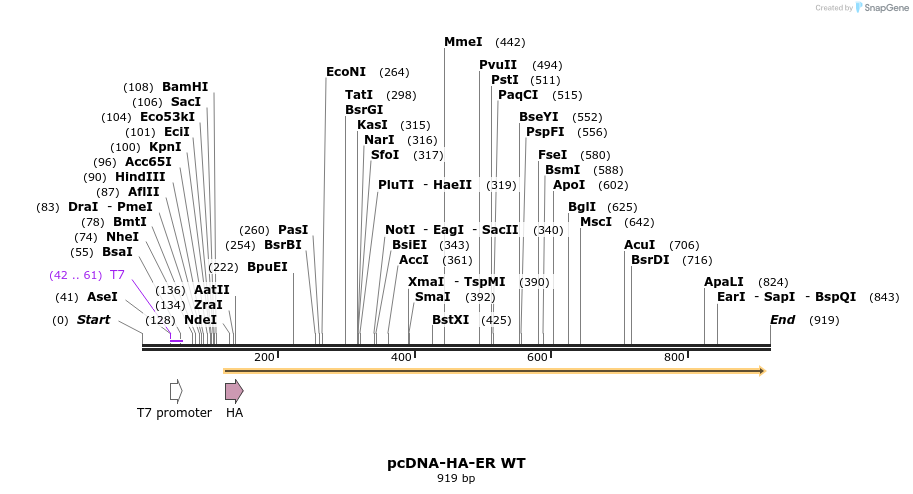 75798_map