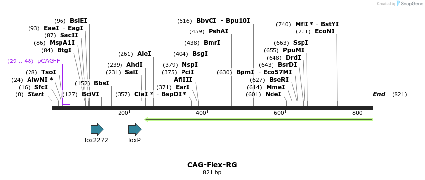 75800_map