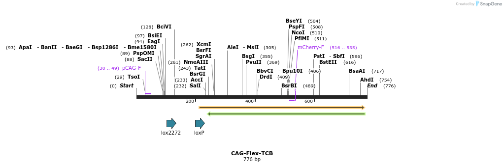 75802_map