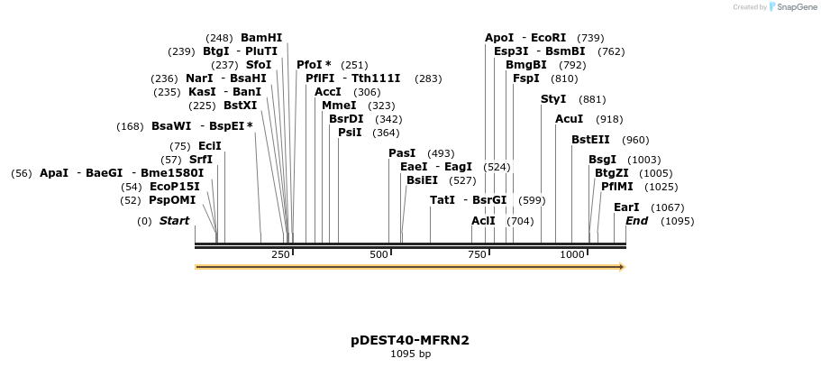 75804_map