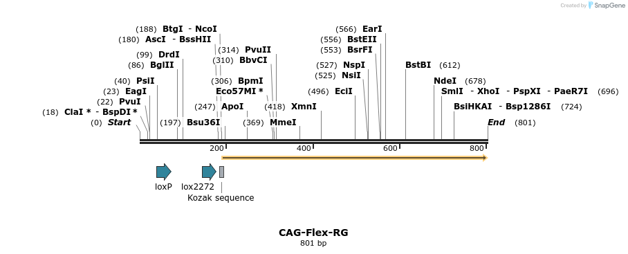 75805_map