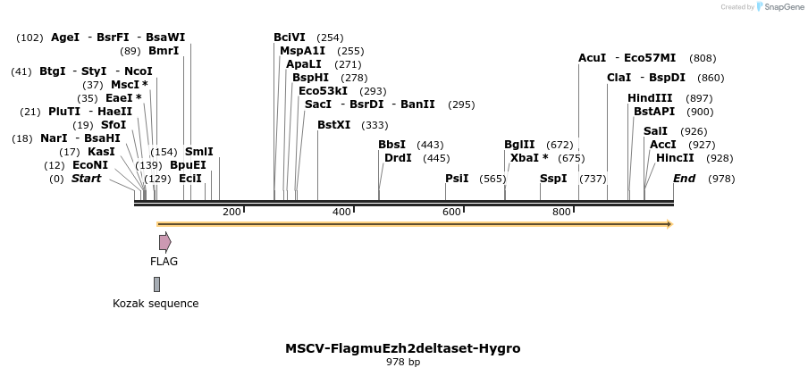 75806_map