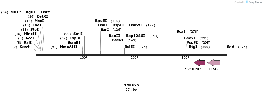 75807_map