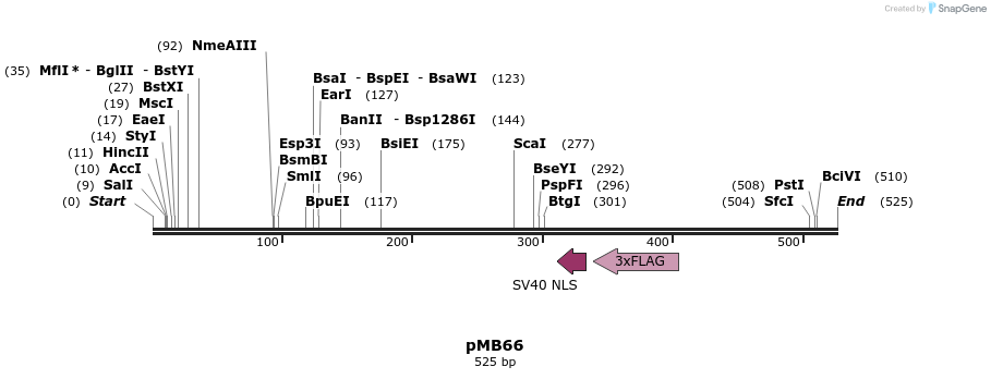 75808_map
