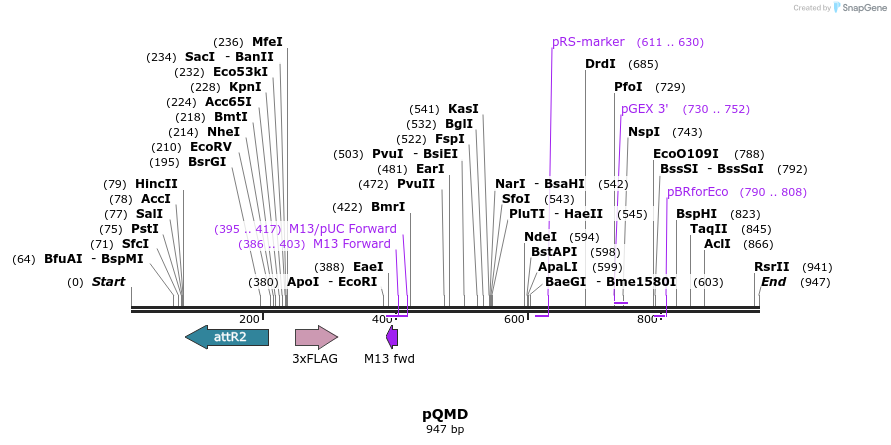 75809_map