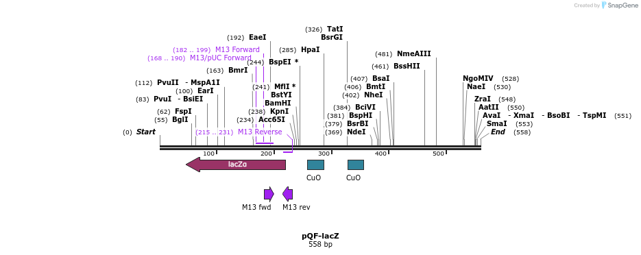75811_map