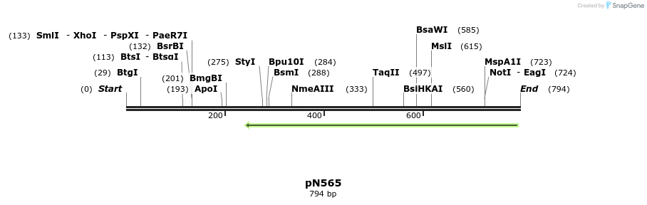 75818_map