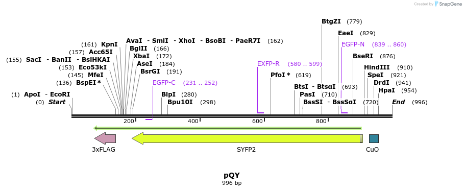 75820_map