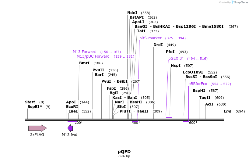 75821_map