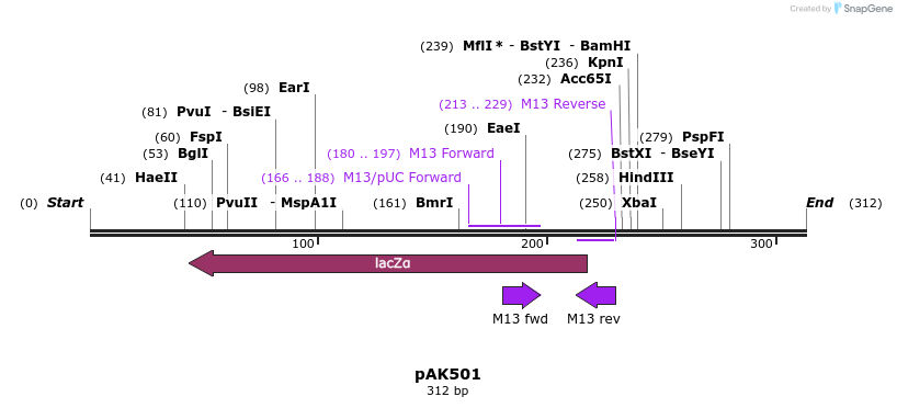 75822_map