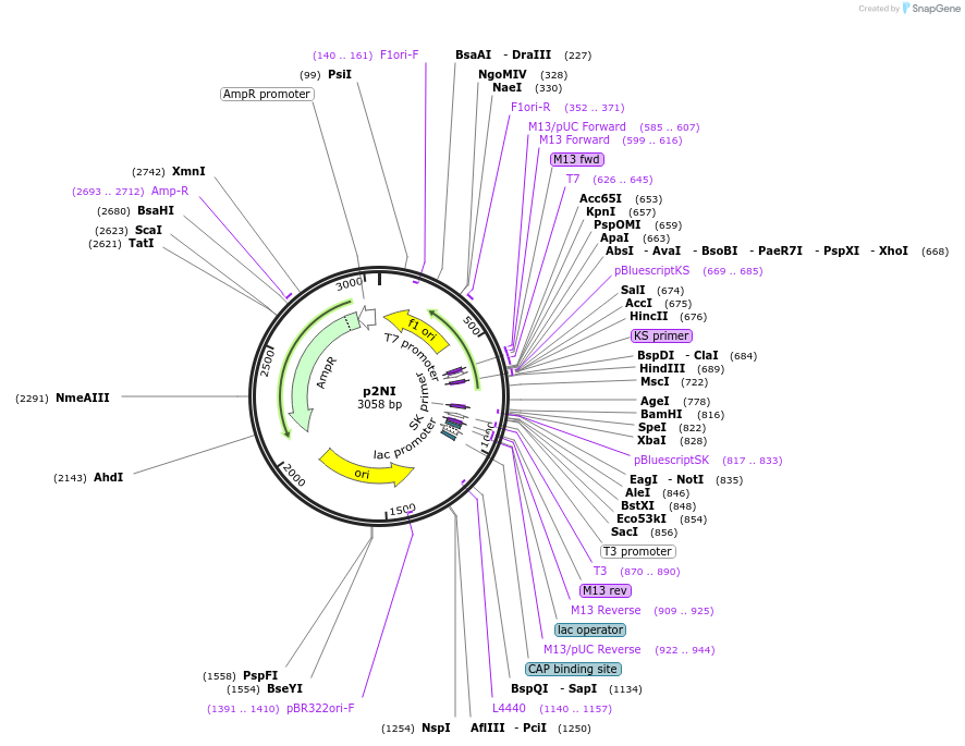 75831_map