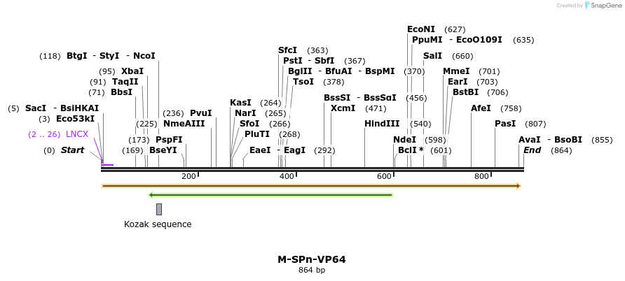 75865_map