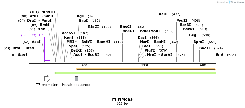 75867_map
