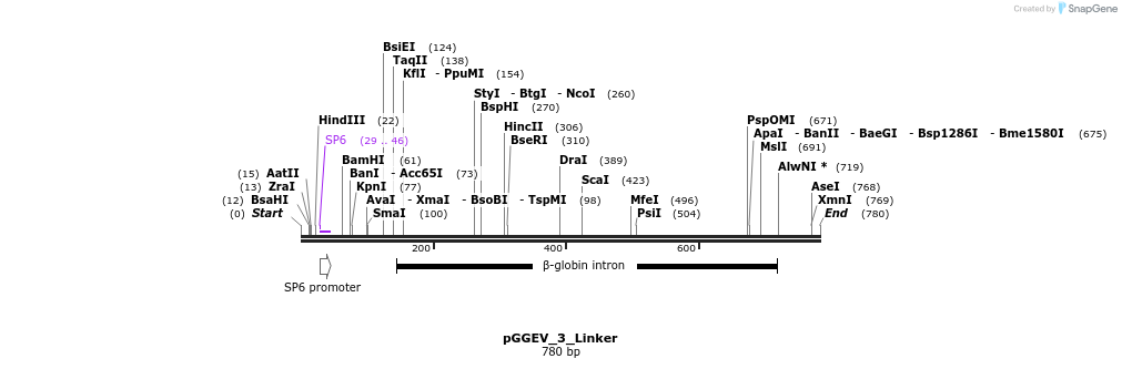 75870_map