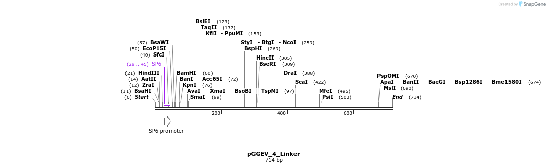 75873_map