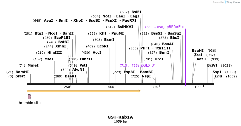 75874_map