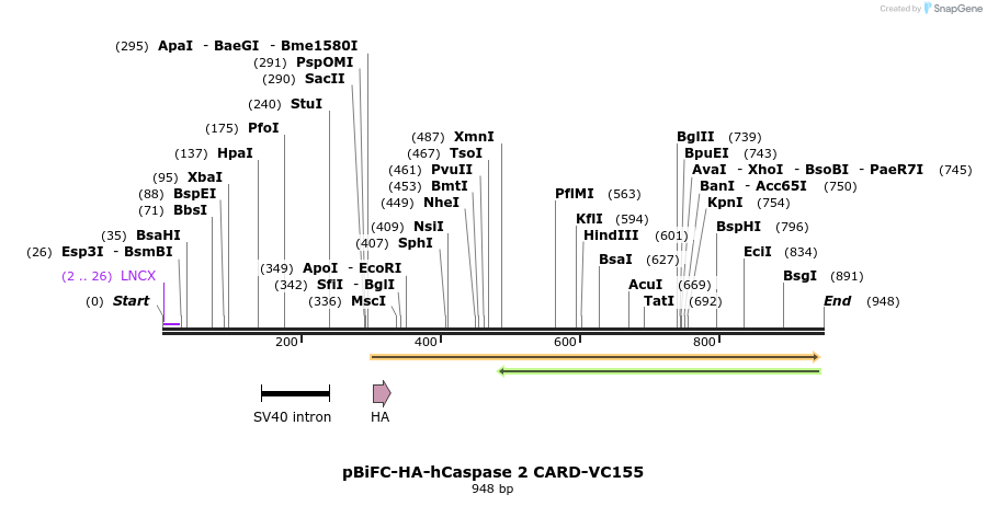75875_map