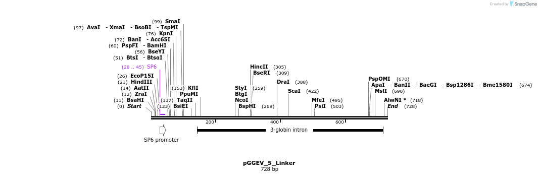 75876_map
