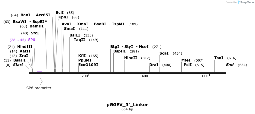 75882_map