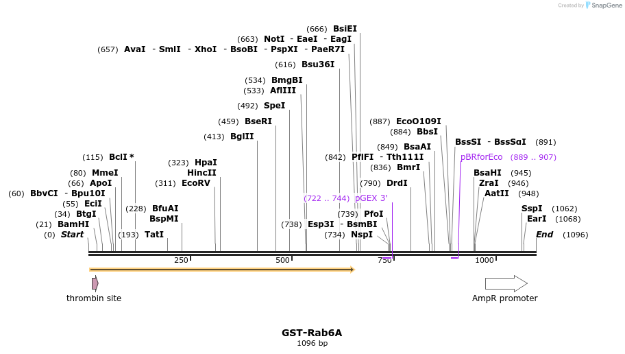 75892_map