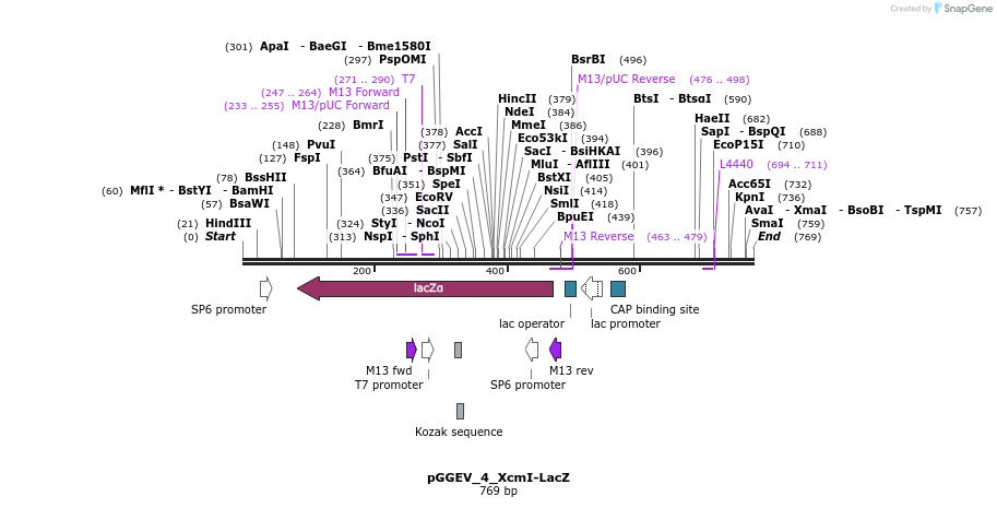 75902_map