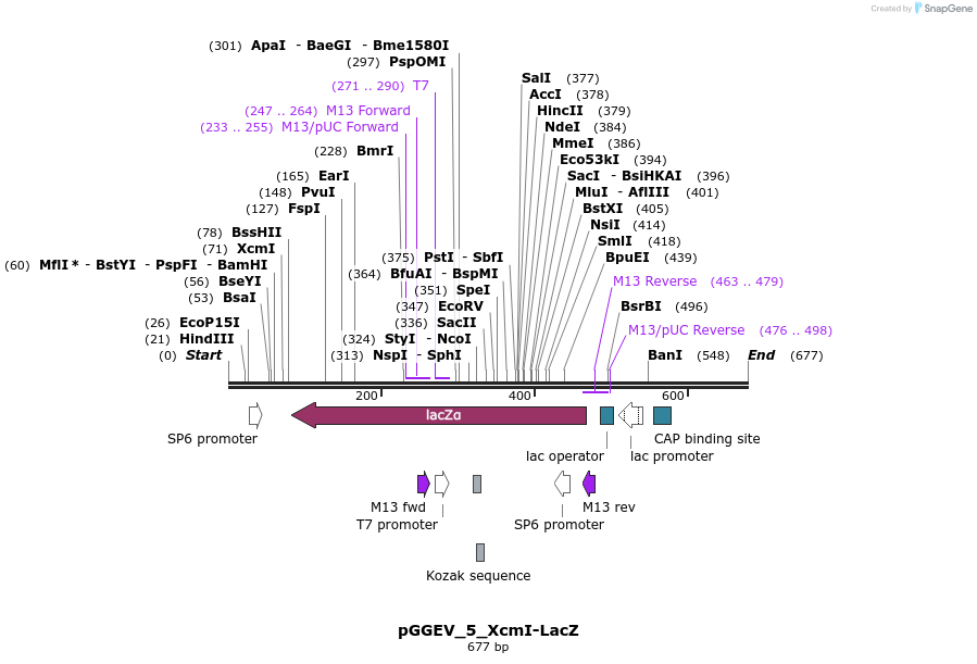 75903_map
