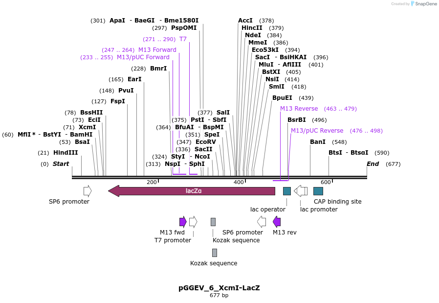 75907_map