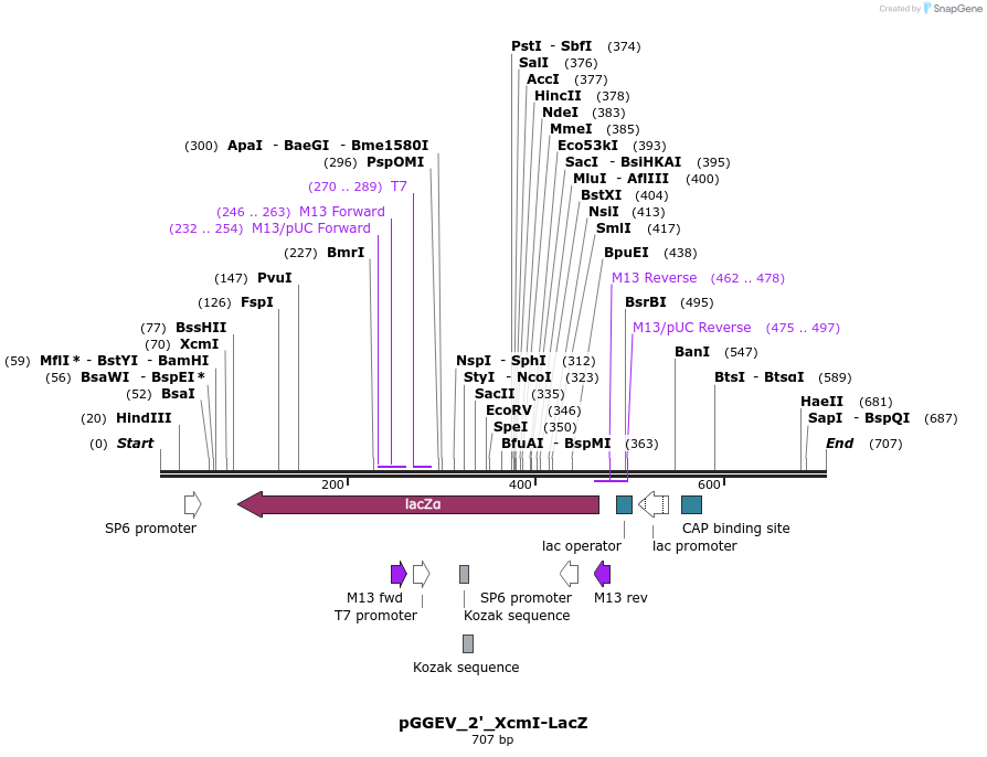 75909_map