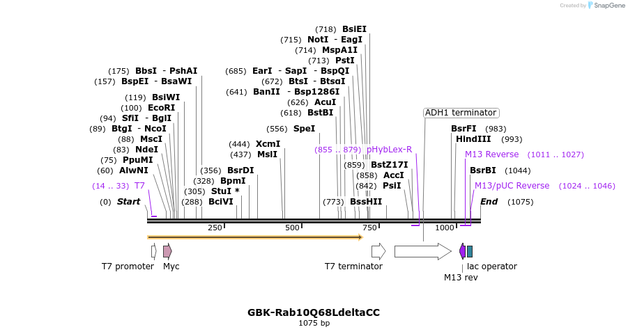 75910_map