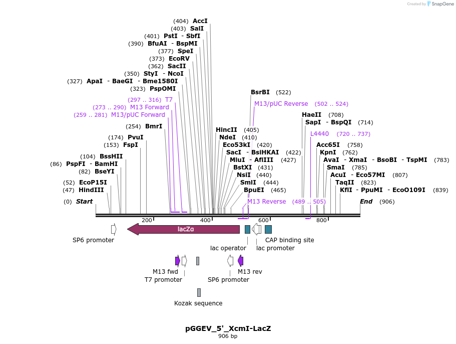 75913_map