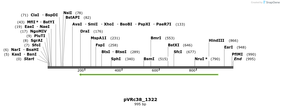 75916_map