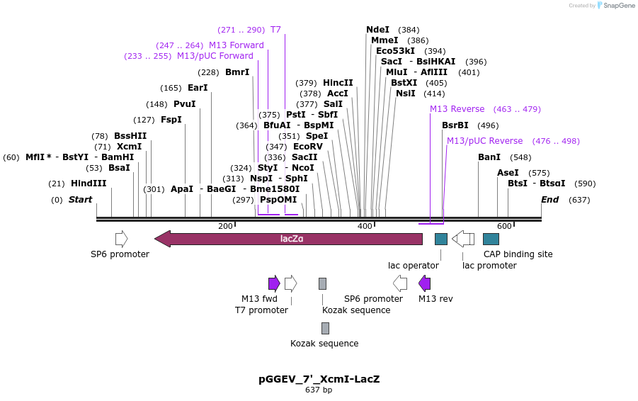 75918_map