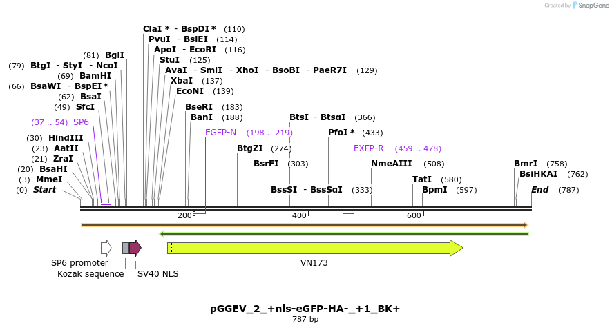 75923_map
