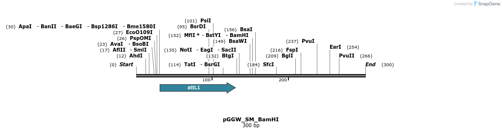 75927_map