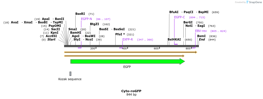 75933_map