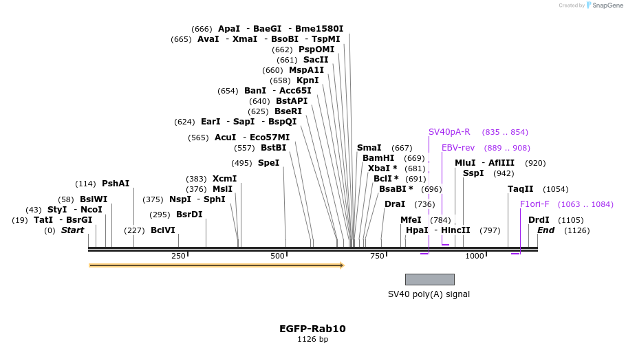 75936_map