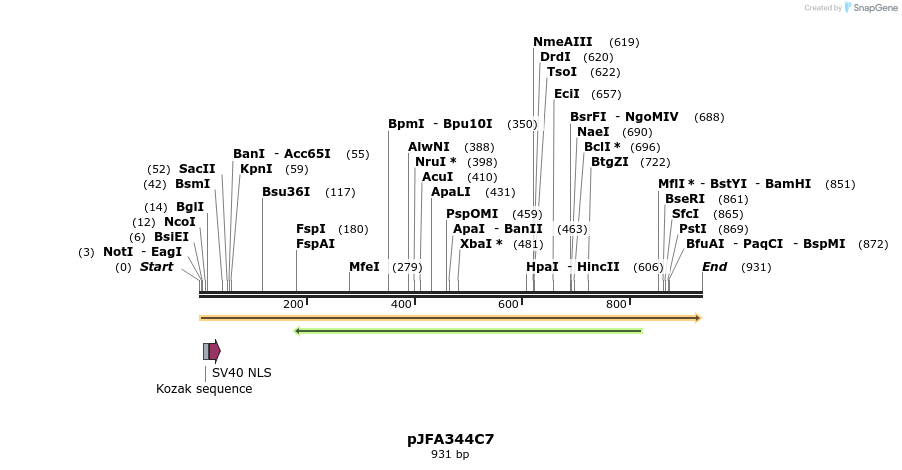 75948_map