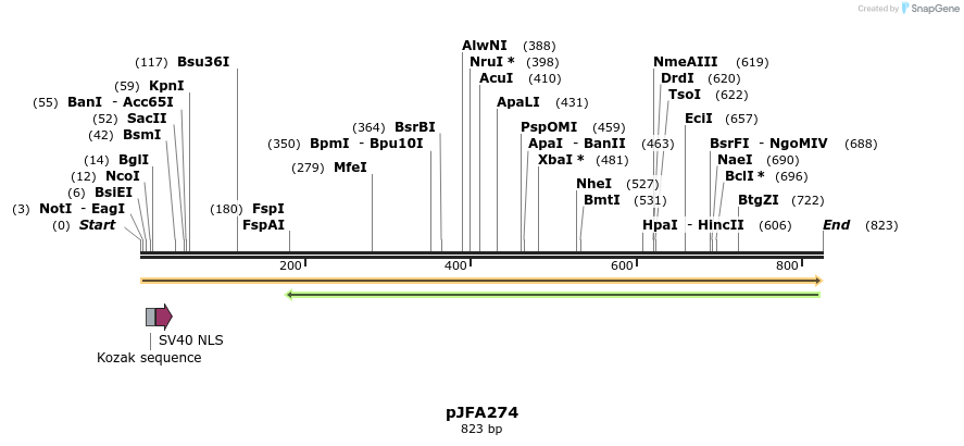 75951_map