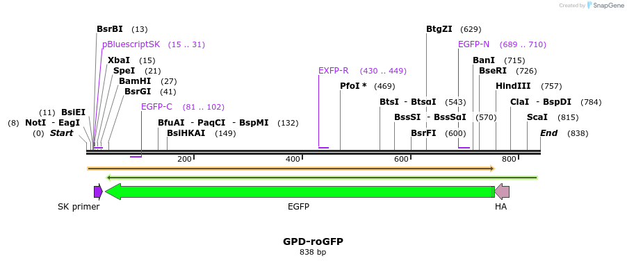 75956_map
