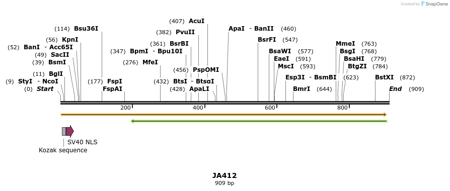 75958_map