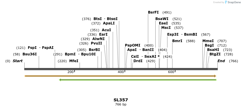 75961_map