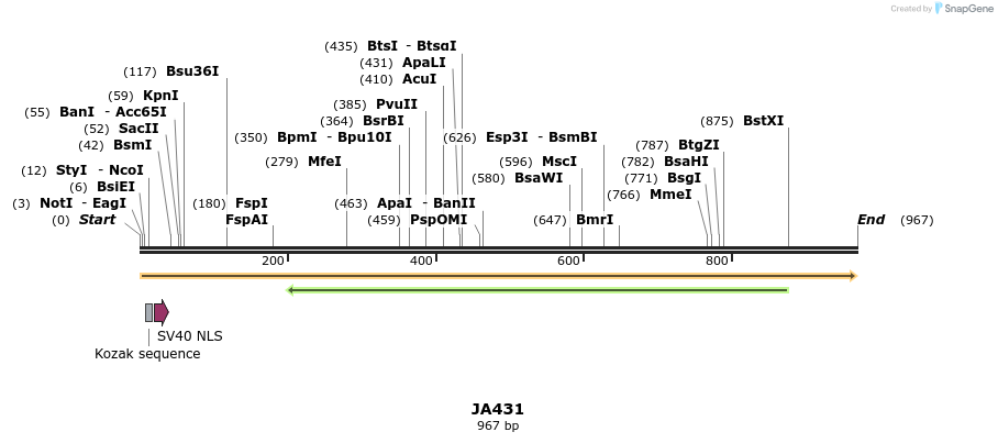 75962_map
