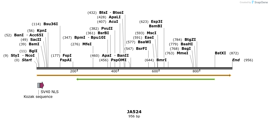 75964_map