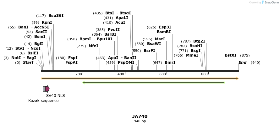 75965_map