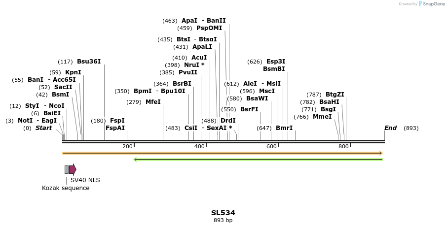 75967_map
