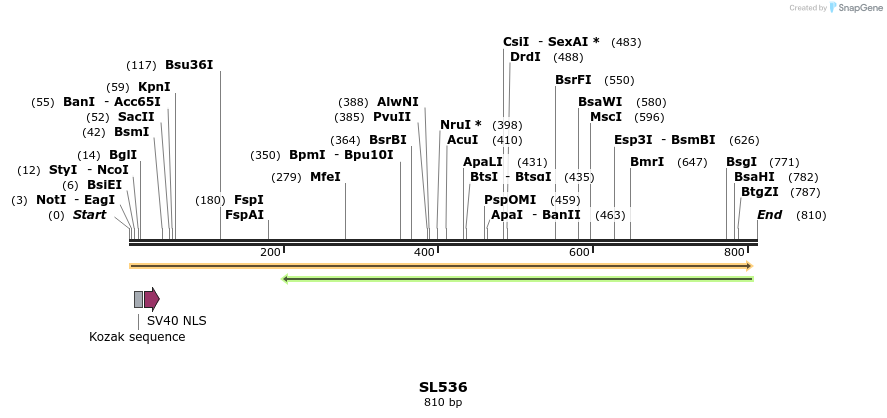 75969_map