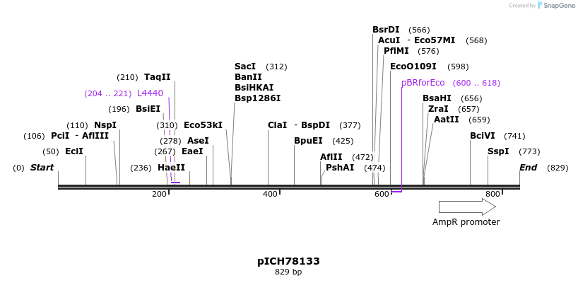 75970_map