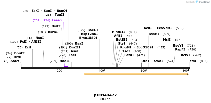 75971_map
