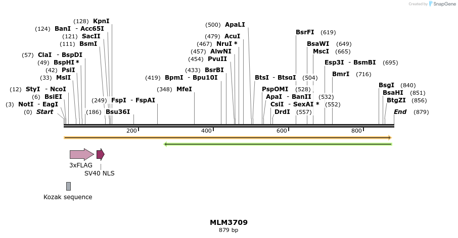 75974_map