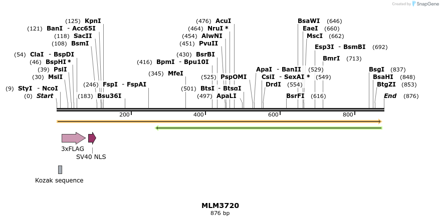 75975_map